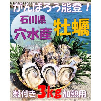 ふるさと納税 穴水町 能登穴水の牡蠣(殻付)3kg 加熱用 | 