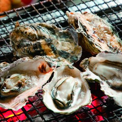 ふるさと納税 穴水町 能登穴水の牡蠣(殻付)3kg 加熱用 |  | 01
