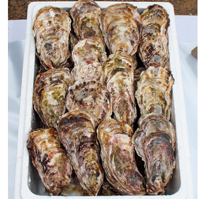 ふるさと納税 穴水町 能登穴水の牡蠣(殻付)3kg 加熱用 |  | 02