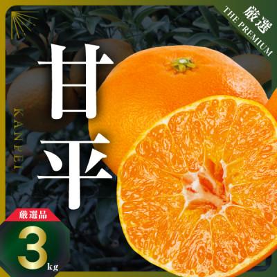 ふるさと納税 八幡浜市 三代目の甘平3kg[C31-1]