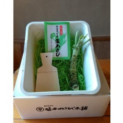 ふるさと納税 廿日市市 芸州吉和村 植本わさび本舗 生わさび初体験セット