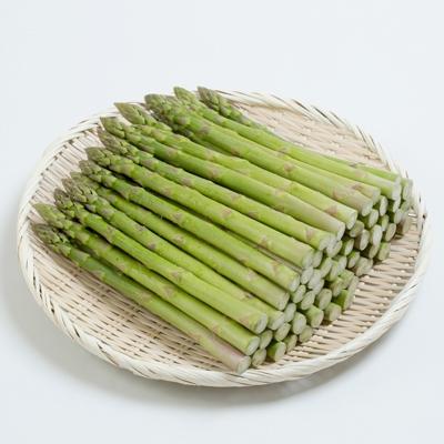 ふるさと納税 新庄市 [季節限定]春の極太アスパラガス2L 2kg