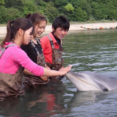 ふるさと納税 さぬき市 泳げなくても安心!イルカと浅瀬で遊ぼう(2名様)