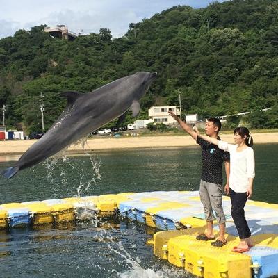 ふるさと納税 さぬき市 目指せ!ドルフィントレーナー(2名様) |  | 02