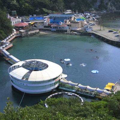 ふるさと納税 下田市 下田海中水族館ペア入場券 |  | 02