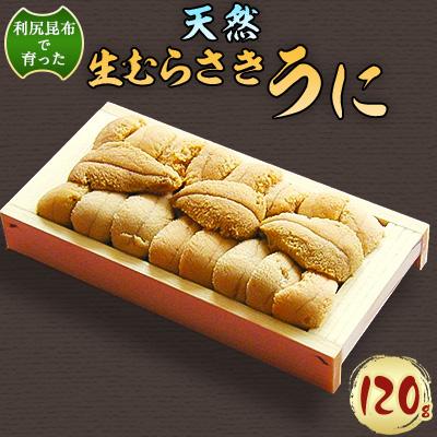 ふるさと納税 稚内市 [令和8年発送 先行予約]利尻昆布を食べておいしく育った「生むらさきうに」120g ウニ 海鮮