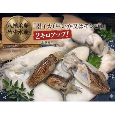 ふるさと納税 八幡浜市 [冷凍便]八幡浜発!竹中水産の「墨イカ(甲いか又はモンゴ)」2kg!お刺身用[F22-221]