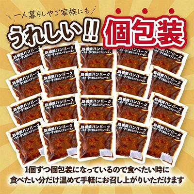 ふるさと納税 飯塚市 鉄板焼ハンバーグ(デミソース)20個セット |  | 02