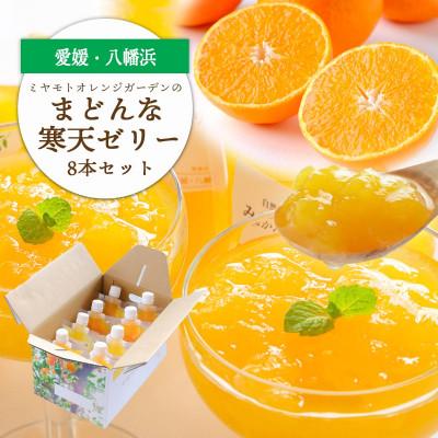 ふるさと納税 八幡浜市 愛媛限定栽培品種 まどんな寒天ゼリーセット8本 ミヤモトオレンジガーデン[C25-25]