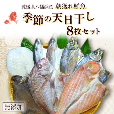 ふるさと納税 八幡浜市 無添加・天日干し ピチピチ朝獲れ鮮魚の一夜干し8枚セット[D26-1]