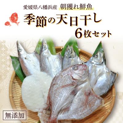 ふるさと納税 八幡浜市 無添加・天日干し ピチピチ朝獲れ鮮魚の天日干し 6枚[C26-7]