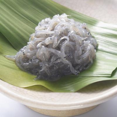 ふるさと納税 伊東市 極冷生シラス 100g×6パック(簡易包装)
