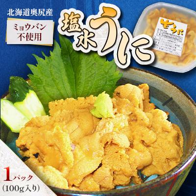 ふるさと納税 奥尻町 [期間限定・配送日指定不可]奥尻産「塩水うに」100g入り 1パック