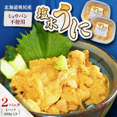 ふるさと納税 奥尻町 [期間限定・配送日指定不可]奥尻産「塩水うに」100g入り 2パック