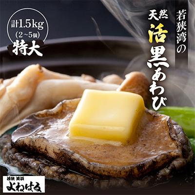ふるさと納税 美浜町 若狭湾の天然活黒アワビ2〜5個 1.5kg[1個300g以上]