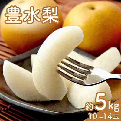 ふるさと納税 那須塩原市 豊水梨 1箱(10個〜14個)
