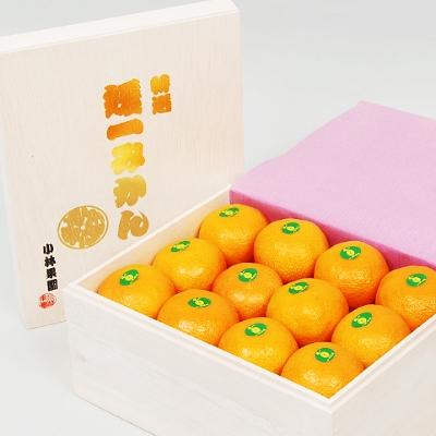 ふるさと納税 八幡浜市 桐箱入り・媛一みかん(2.5kg)[D24-4]