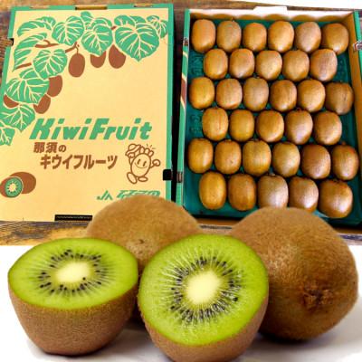 ふるさと納税 那須塩原市 キウイフルーツ 1箱 (27〜36玉)
