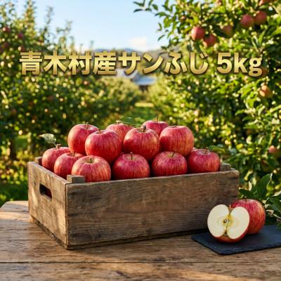 ふるさと納税 青木村 長野県青木村産りんご(サンふじ)1箱(5kg)