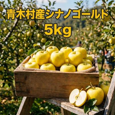 ふるさと納税 青木村 長野県青木村産りんご(シナノゴールド)1箱(5kg)