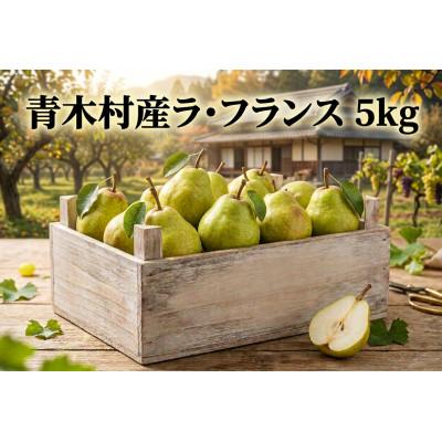 ふるさと納税 青木村 長野県青木村産ラ・フランス1箱(5kg)