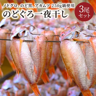 ふるさと納税 京丹後市 のどぐろ一夜干し (ノドグロ、アカムツ) 250g級使用 干し上がり後 175g以上 3尾セット