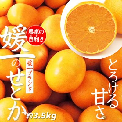 ふるさと納税 八幡浜市 愛媛の高級柑橘の代名詞!「せとか」約3.5kg入[D28-18]