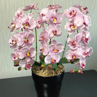 ふるさと納税 大垣市 光触媒造花胡蝶蘭 3本立(ピンク)