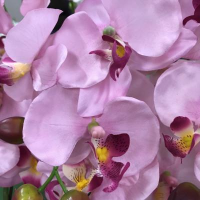ふるさと納税 大垣市 光触媒造花胡蝶蘭　7本立(ピンク) |  | 01