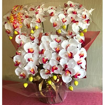 ふるさと納税 大垣市 光触媒造花胡蝶蘭　7本立(ピンク) |  | 02
