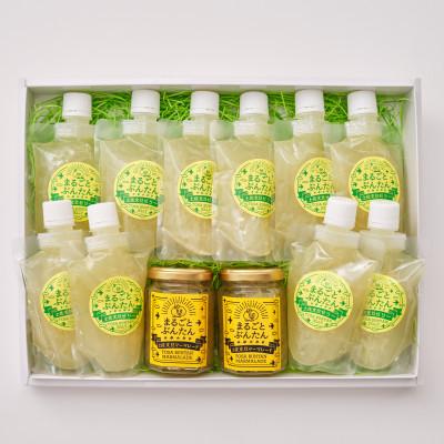 ふるさと納税 土佐市 土佐市の文旦をふんだんに使った手作りママレードとゼリーのセット(ゼリー10本/ママレード2個)