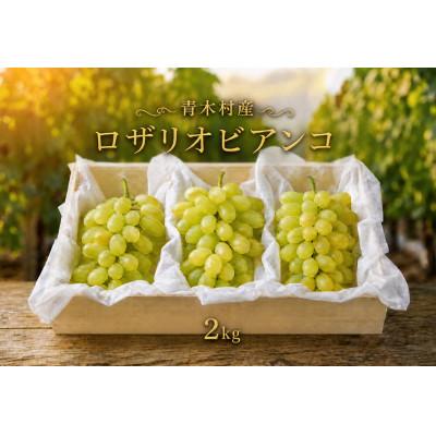 ふるさと納税 青木村 長野県青木村産ロザリオビアンコ(種あり)1箱(2kg)