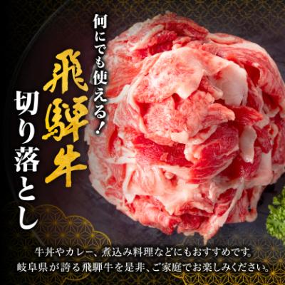 ふるさと納税 養老町 何にでも使える!【飛騨牛】切り落とし800g 岐阜県産 黒毛和牛 |  | 01
