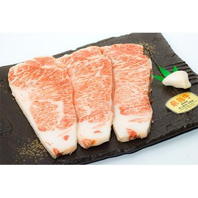 ふるさと納税 山県市 店主こだわり雌牛 飛騨牛 A5等級 ロースステーキ 約200g×3枚[ミートショップみかど]