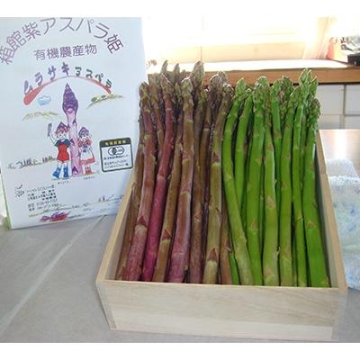 ふるさと納税 北斗市 [JAS認定有機紫アスパラ]S〜Lサイズ紫アスパラ・グリーンアスパラセット 桐箱入[900g]