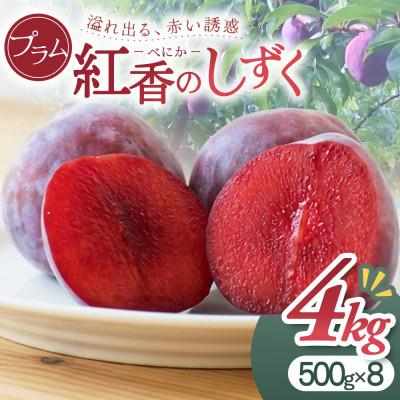ふるさと納税 三戸町 プラム『紅香のしずく』500g×8パック