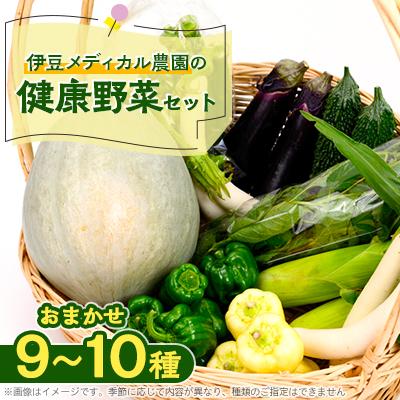ふるさと納税 函南町 伊豆メディカル農園の健康野菜セット