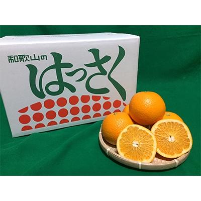 ふるさと納税 湯浅町 先行受付2027年1月より発送 和歌山産 八朔(はっさく) 10kg Lサイズ [まごころ手選別]