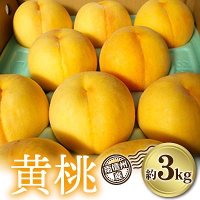 ふるさと納税 飯田市 南信州産「黄桃」約3kg