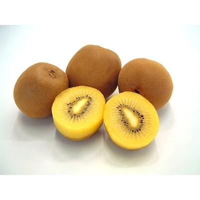 ふるさと納税 三豊市 さぬきゴールドキウイ 3kg