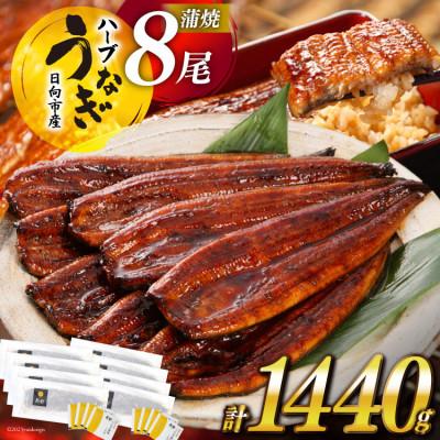 ふるさと納税 日向市 宮崎県日向市産 鰻楽ハーブうなぎ蒲焼8尾(計1440g)