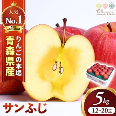 ふるさと納税 三戸町 りんご「サンふじ」12〜20玉(約5kg)[2026年産・先行予約]11月下旬〜2月頃発送予定