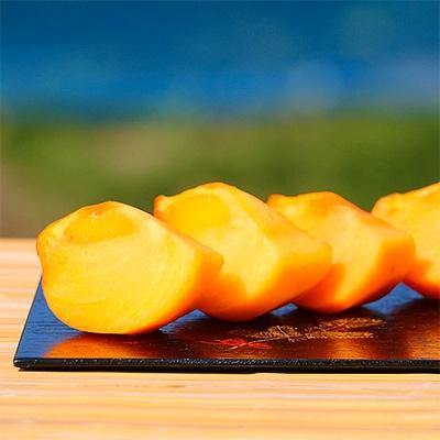 ふるさと納税 玉東町 [産直]太秋柿(大玉)約2.5kg 5玉〜8玉 緑伸園の夕焼け太秋