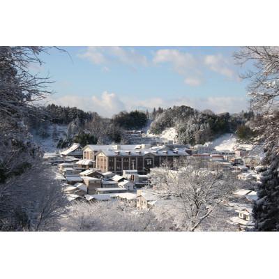 ふるさと納税 二本松市 【大七酒造　生もと梅酒】720ml |  | 02