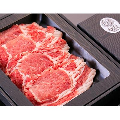 ふるさと納税 四万十町 [産直!がっつり1kg!]ブランドポークの豪快厚切り柔らかステーキ2種セット