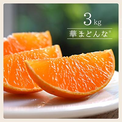 ふるさと納税 八幡浜市 コウ果樹園「華まどんな」3kg[D33-22]