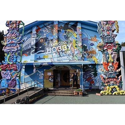 ふるさと納税 四万十町 海洋堂ホビー館四万十 わくわくどきどきペアセット