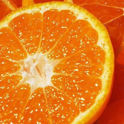 ふるさと納税 八幡浜市 [2026年11月以降発送]みきゃんがお届け!プチみかん2箱セット約5.6kg[C28-25]