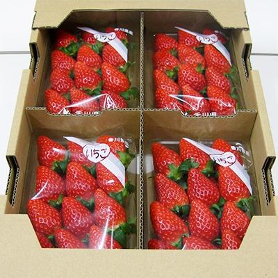 ふるさと納税 三豊市 [1月以降発送]女峰いちご 約1kg