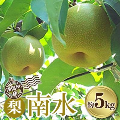ふるさと納税 飯田市 南信州産 梨「南水」約5kg [2026年9月より順次発送]